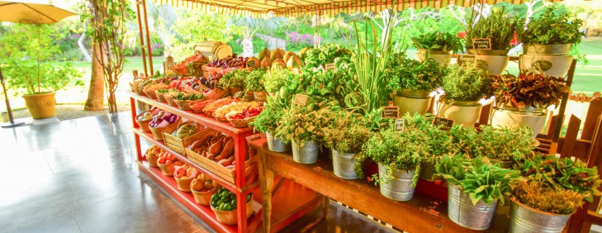 FloraFarmsProduce